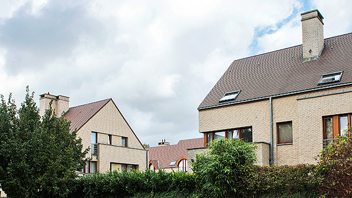 Project: Sitelles