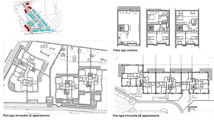 Project: Sitelles